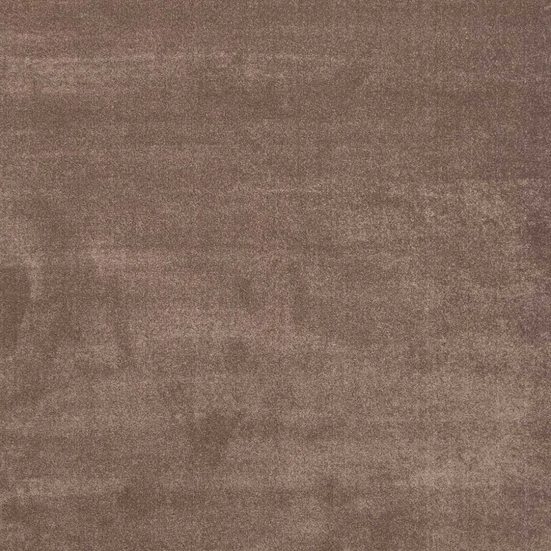 Alfombras Decorativas>Alfombra Ambiente Camel 133x190Cm