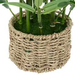 atmosphera Plantas Y Flores Artificiales|Estilo Oriental><noscript><img width=