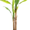 atmosphera Plantas Y Flores Artificiales|Estilo Étnico>Bananero Artif.Doble C/Maceta 130Cm