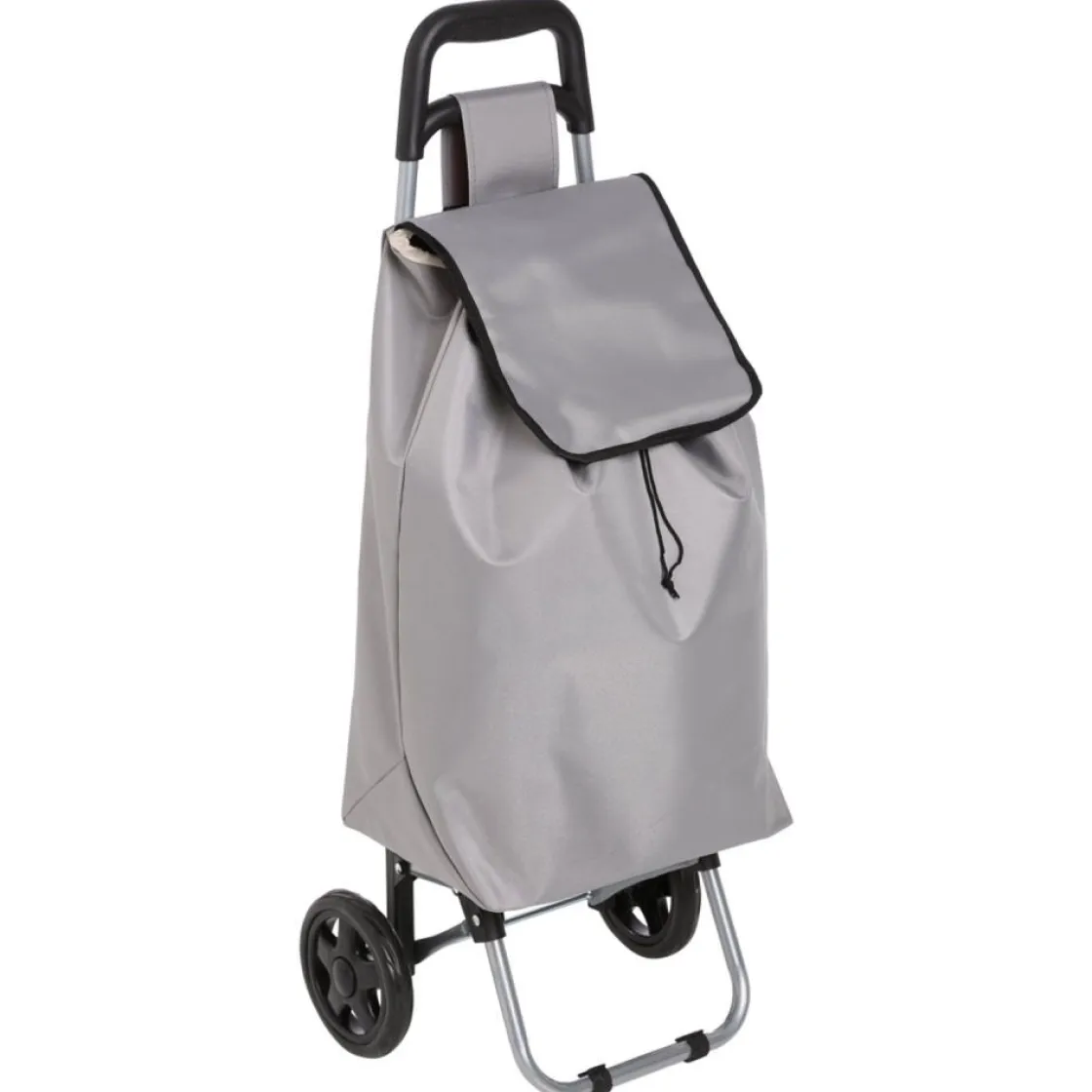 Carros De Soporte>Carro De La Compra Gris
