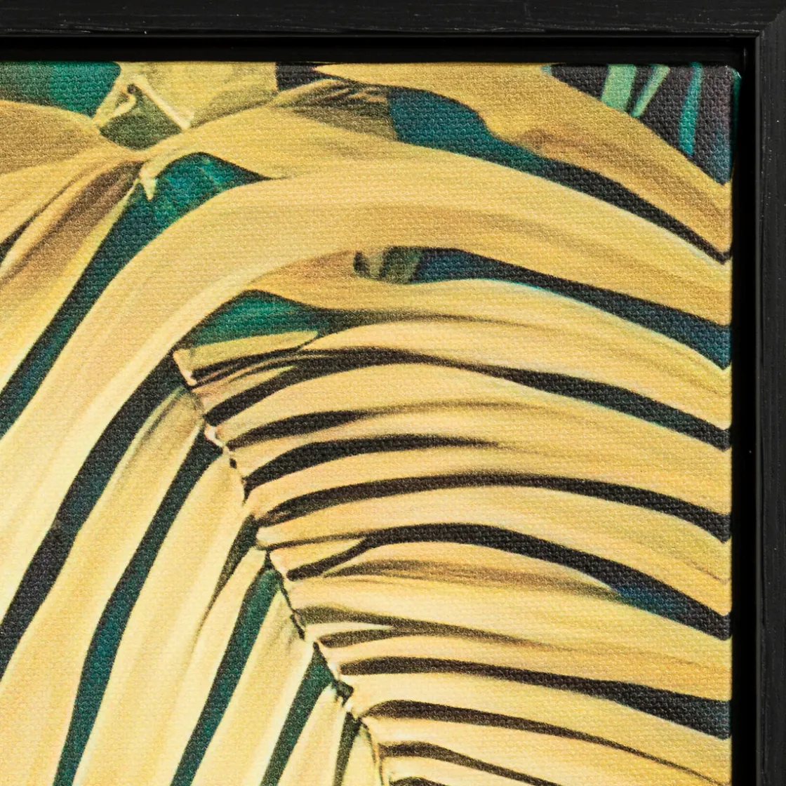 atmosphera Lienzos Y Cuadros Decorativos>Cuadro decorativo con papagayo CHARLENE 70x50cm