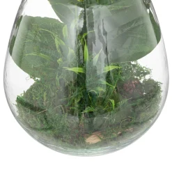 atmosphera Plantas Y Flores Artificiales>Jarrón de vidrio con plantas artificiales CARAVANE
