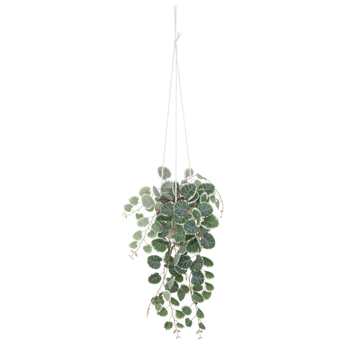 atmosphera Plantas Y Flores Artificiales|Estilo Rústico>Maceta Colgante Caravane 25x15x80Cm