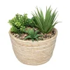 atmosphera Plantas Y Flores Artificiales>Maceta Con Flores Artificiales 19x17Cm