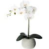 atmosphera Plantas Y Flores Artificiales|Estilo Contemporaneo>Maceta C/Orquídea Artif.30x6x53Cm