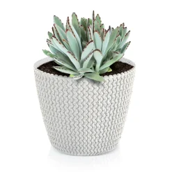 Complementos>Maceta Splofy Eco Wood C/Blanco 16x19Cm