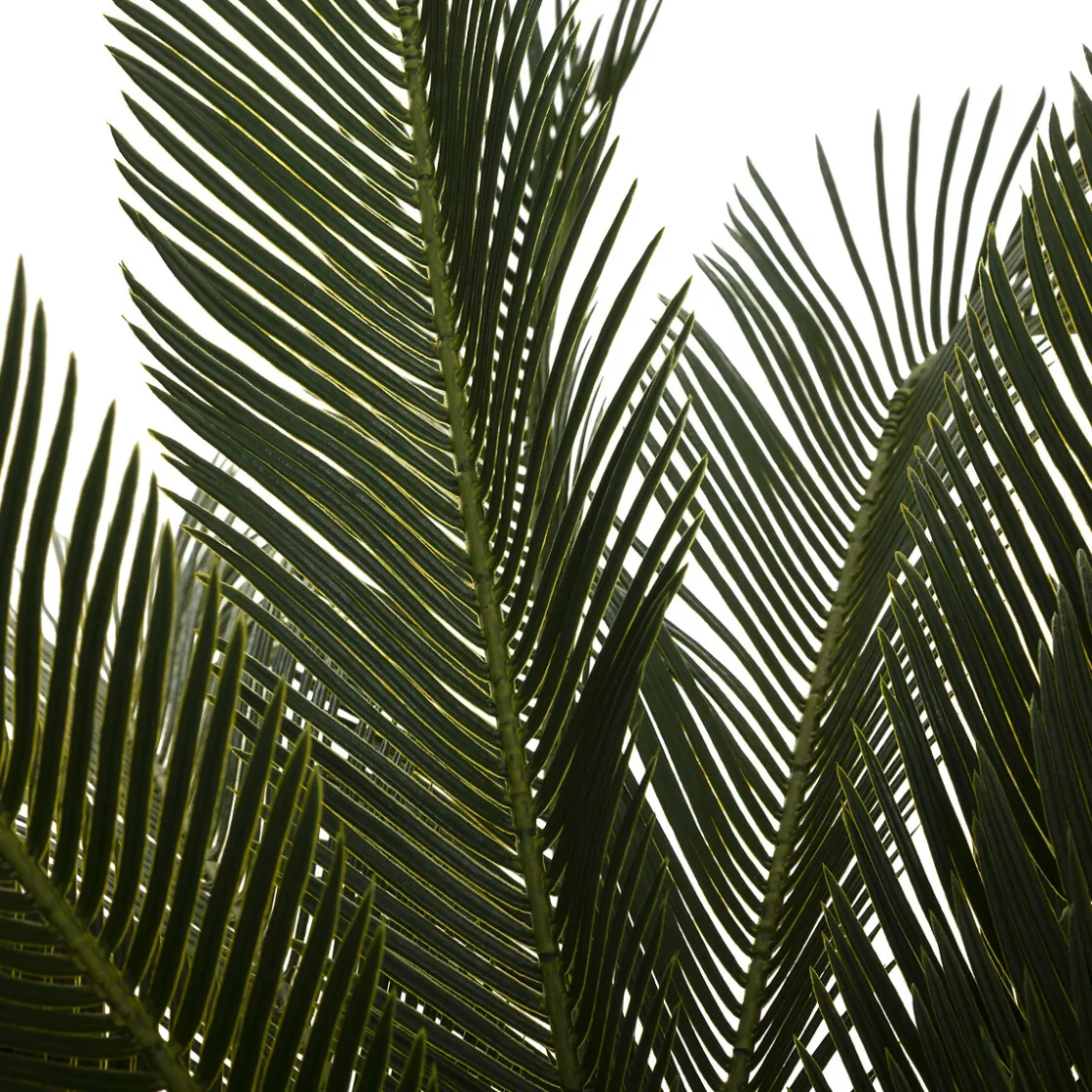 atmosphera Plantas Y Flores Artificiales|Estilo Étnico>Palmera Piña Con Maceta 93Cm