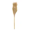 atmosphera Plantas Y Flores Artificiales>Rama De Flor Seca Sea View 5x2x117Cm