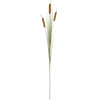 atmosphera Plantas Y Flores Artificiales>Rama De Roseau Artificial 100Cm