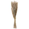 atmosphera Plantas Y Flores Artificiales|Estilo Étnico>Ramo De Flores Secas Ori 18x58Cm